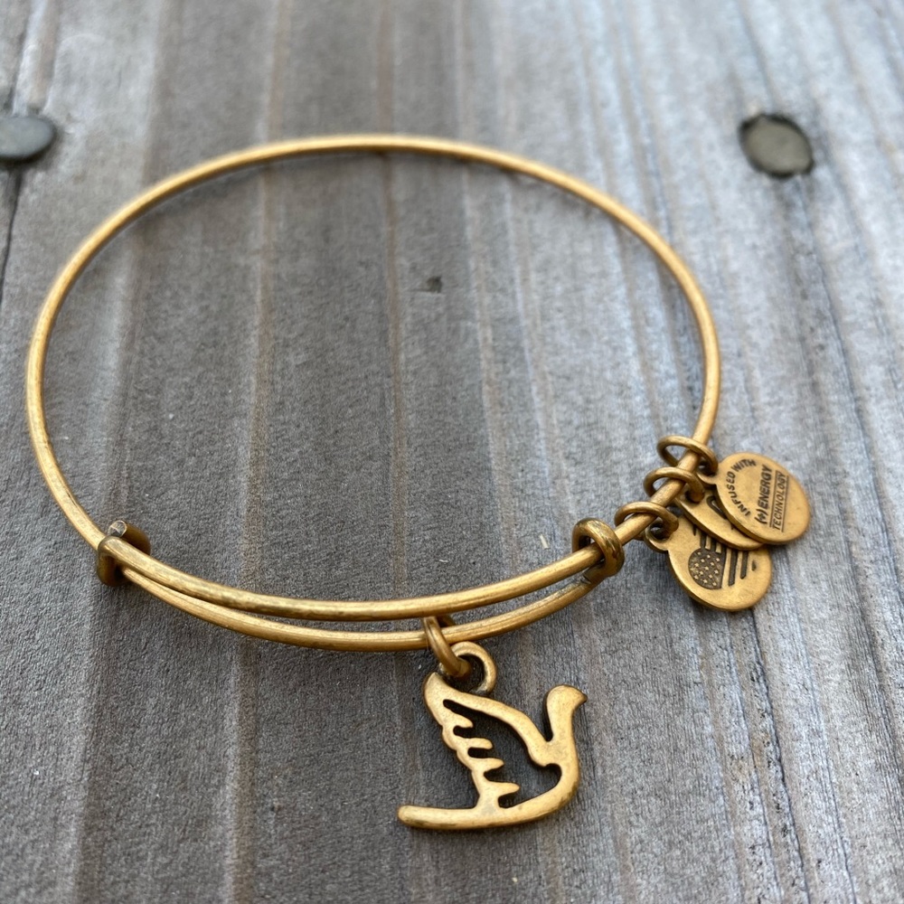 Alex and Ani Dove Bracelet